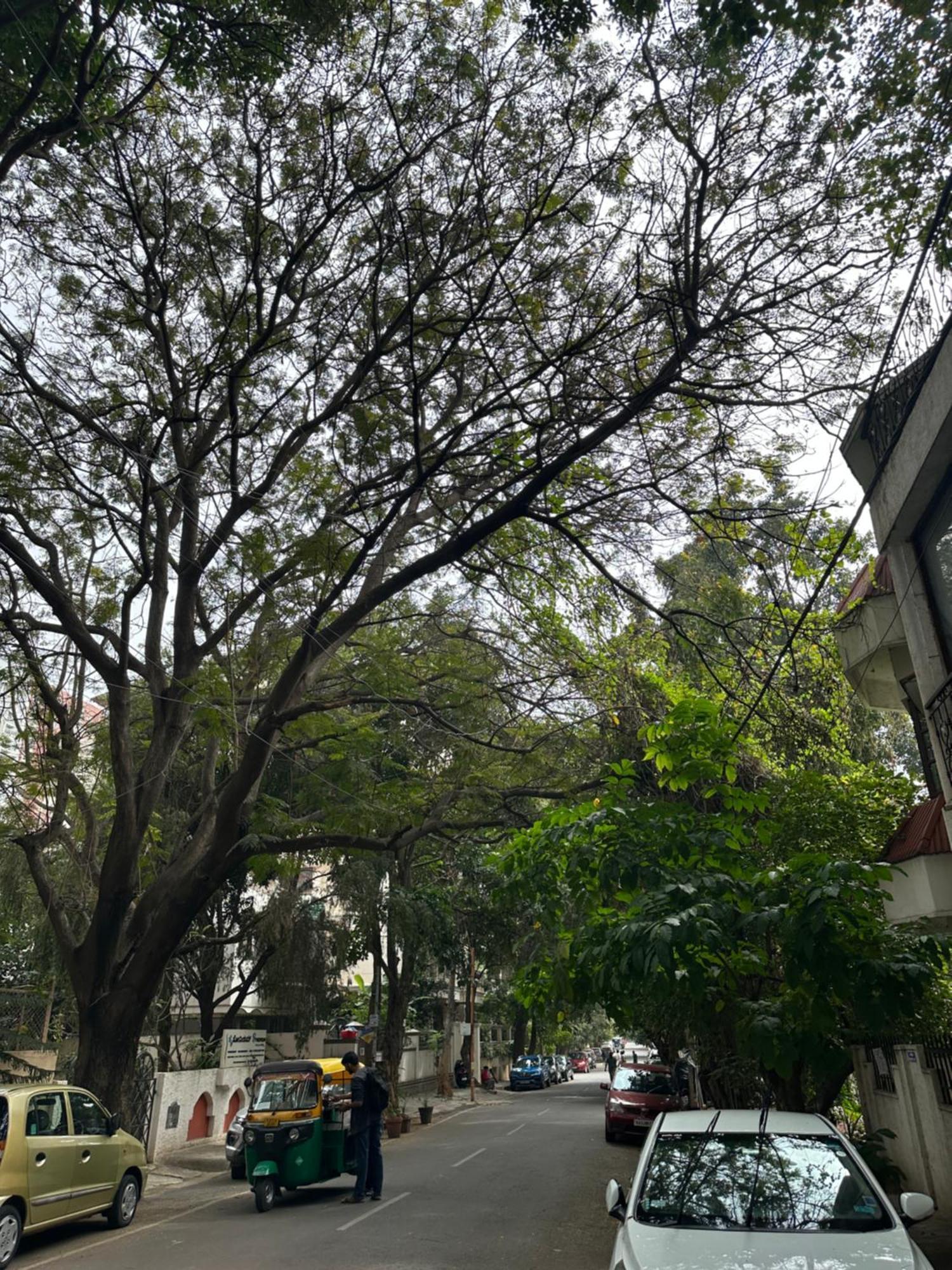 Aparthotel Modern Comfortable 1bhk Prime Location Service *